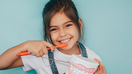 Falls Dental Care Group